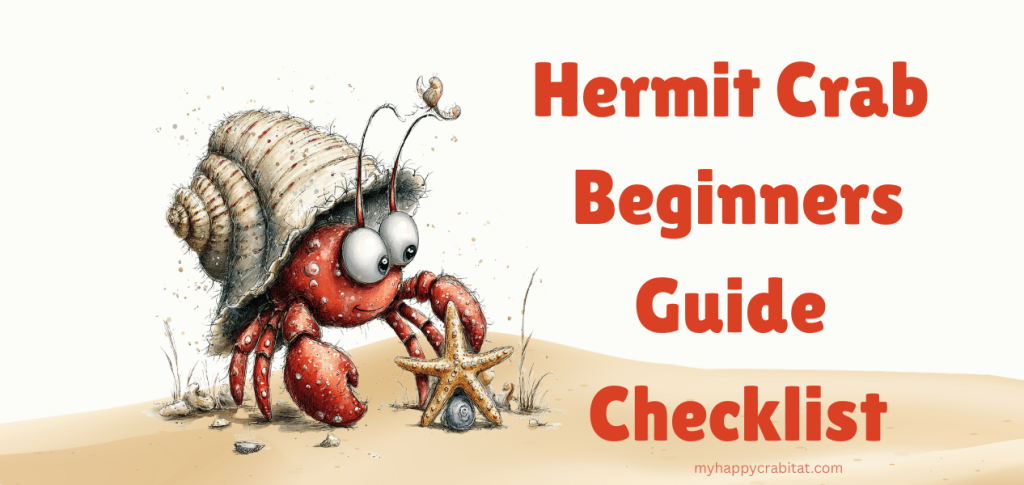 Hermit Crab Beginners Guide&nbsp;Checklist