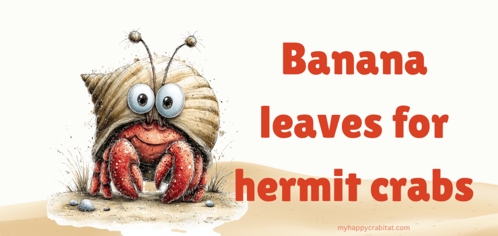 How to Process Banana Leaves for Hermit&nbsp;Crabs