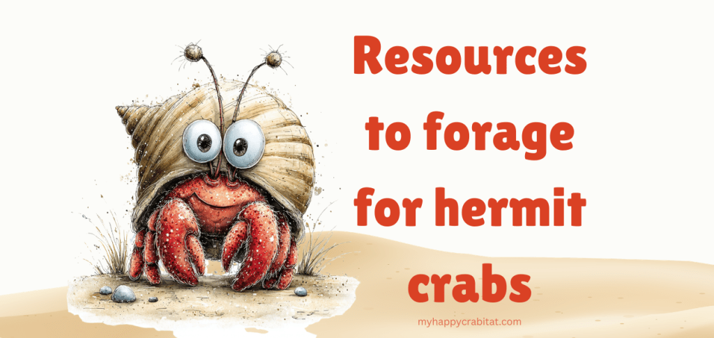 Resources to use to forage for hermit&nbsp;crabs