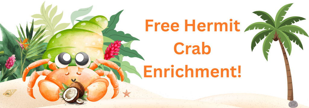 Free Hermit Crab Enrichment