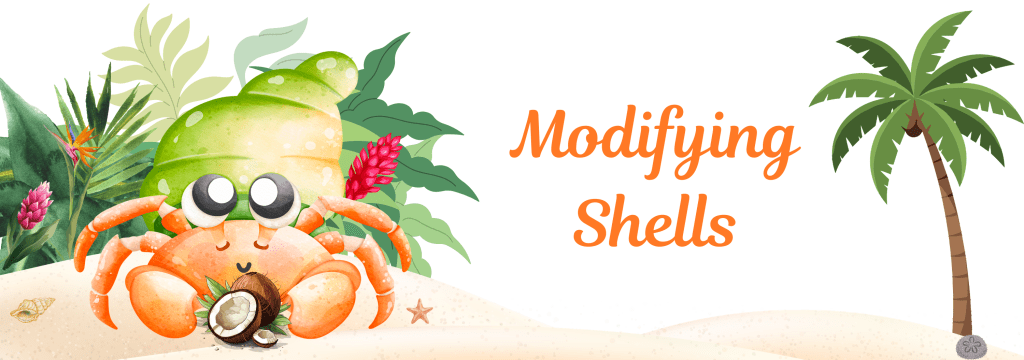 Hermit Crab Modify Their&nbsp;Shells